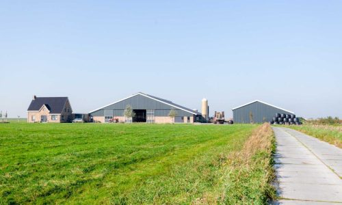 Project XXX (omschrijving)